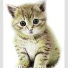 Business 3 image MCB PENCIL PORTRAITS Artists in Birmingham We