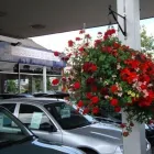 Business 21 image MCDONALD'S RESTAURANTS LTD Fast Food Restaurants in Bridgend Mi