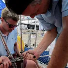 Business 3 image MEDIA FUSION Web Design & Development in Newbury Be