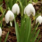 Business 4 image MICHAEL WYNNE PHOTOGRAPHY General Photographers in Hornchurch Gr