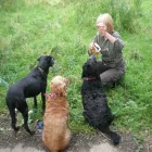 Business 17 image MIDDLESEX HOME & BUILDING SERVICES UK Builders in Northolt Mi