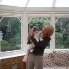 Business 3 image MIDDLESEX HOME & BUILDING SERVICES UK Builders in Northolt Mi