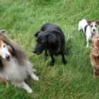 Business 5 image MIDDLESEX HOME & BUILDING SERVICES UK Builders in Northolt Mi