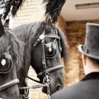 Business 1 image MILES & DAUGHTERS FUNERAL DIRECTORS Funeral Services in Maidenhead Be