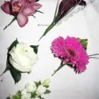 Business 2 image MILLS & BLOOM FLORISTS PRESTON Funeral Flowers in Preston La
