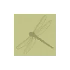 Business 1 image MILLS IN BLOOM - WINCHESTER FLORISTS Wedding Supplies in Winchester Ha