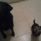 Business 5 image MING'S GARDEN Takeaway Food in Leicester Le