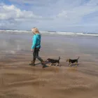 Business 2 image MING'S GARDEN Takeaway Food in Leicester Le