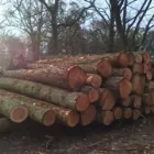 Business 21 image MONKWOODS FENCING SERVICES Timber Merchants in Alresford Ha