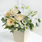 Business 6 image MOTOR ACCIDENT SOLICITORS SOCIETY Property & Liability Insurance in Newcastle Upon Tyne Ty