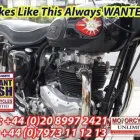 Business 4 image MOTORCYCLES UNLIMITED Motorcycle Repairs & Services in Greenford Mi