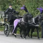 Business 5 image MURRAY'S INDEPENDENT FUNERAL DIRECTORS LTD Transportation Services in Derby De