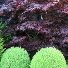 Business 2 image NICK BALDWIN GARDEN DESIGN Garden Designers in Reading Be