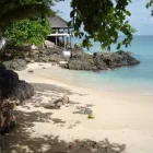 Business 1 image NORTH EAST PLANT SERVICES LTD Container Hire in Stockton-On-Tees Cl