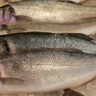 Business 7 image NORTHGATE FISH Fishmongers in GREAT YARMOUTH No