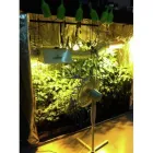 Business 4 image NPK TECHNOLOGY LTD Hydroponics in Liverpool Me