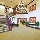 Business 4 image NTH LTD Car Body Repairs in New Malden Su