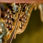 Business 2 image OAKSHAW TRINITY CHURCH Places Of Worship in Paisley Re
