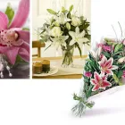 Business 8 image OCCASIONS FLORIST Florists in Sherborne Do