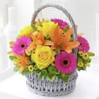 Business 4 image ONE VISION IMAGING LTD Photographic Processing & Printing in Coventry We