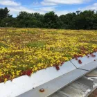 Business 4 image OPTIGREEN LTD Roofing Materials in Welwyn Garden City He