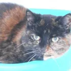 Business 5 image OPTIMA CONSULTANCY SERVICES LTD Marketing & Advertising Consultants in Coventry We