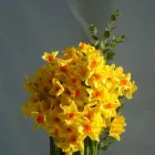 Business 8 image OXFORD MEDICAL DIAGNOSTICS LTD Laboratory Facilities & Services in Kidlington Ox