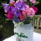 Business 9 image OXFORD MEDICAL DIAGNOSTICS LTD Laboratory Facilities & Services in Kidlington Ox