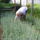 Business 1 image OXFORD MEDICAL DIAGNOSTICS LTD Laboratory Facilities & Services in Kidlington Ox