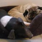 Business 1 image P.J BAKER Plumbers in Tetbury Gl