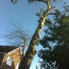 Business 1 image PANDORA Jewellers in Stockport Ch