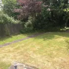 Business 7 image PARK LANE DRY CLEANING Dry Cleaners in Wembley Mi