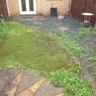 Business 3 image PARK LANE DRY CLEANING Dry Cleaners in Wembley Mi