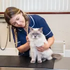 Business 20 image PARKER & CROWTHER VETS, MAGHULL Veterinary Services in Liverpool Me