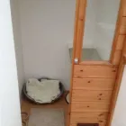 Business 17 image PAWS CATTERY Pets & Animals in London Gr