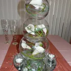 Business 22 image PC CASUALTY SERVICES LTD Computer Services in Manchester La