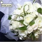 Business 2 image PEERS CLOUGH PACKHORSES Riding Schools in Rossendale La