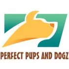 Business 1 image PERFECT PUPS AND DOGZ Veterinary Services in Nottingham No