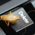 Business 2 image PEST-MASTER LTD Pest & Animal Control in Glasgow La