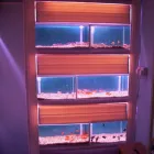 Business 14 image PET FACTORS Pet Shops in Manchester La