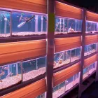 Business 16 image PET FACTORS Pet Shops in Manchester La