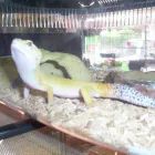 Business 17 image PET FACTORS Pet Shops in Manchester La