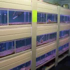 Business 20 image PET FACTORS Pet Shops in Manchester La