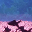 Business 21 image PET FACTORS Pet Shops in Manchester La