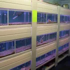 Business 4 image PET FACTORS Pet Shops in Manchester La