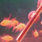 Business 7 image PET FACTORS Pet Shops in Manchester La