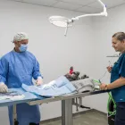 Business 3 image PET PRACTICE VETERINARY SURGERY Veterinary Services in CHRISTCHURCH Do