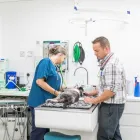 Business 4 image PET PRACTICE VETERINARY SURGERY Veterinary Services in CHRISTCHURCH Do