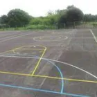 Business 6 image PETE SIMS GARDEN DESIGN (LGS) LTD Garden Designers in Reading Be