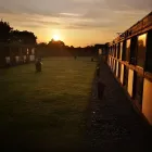 Business 2 image PETS COUNTRY MANOR Pets & Animals in Liverpool Me